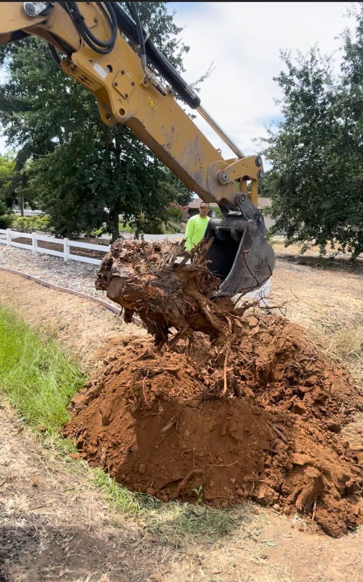 Excavator + stump removal